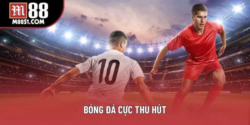 Bóng đá cực thu hút Bóng đá cực thu hút