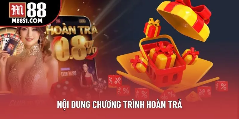 Nội dung chương trình hoàn trả Nội dung chương trình hoàn trả